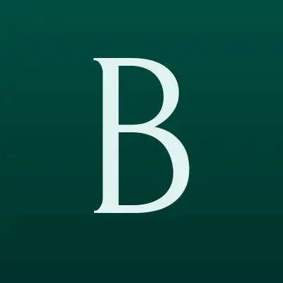 BSB, бутик женской одежды, лого-визитка